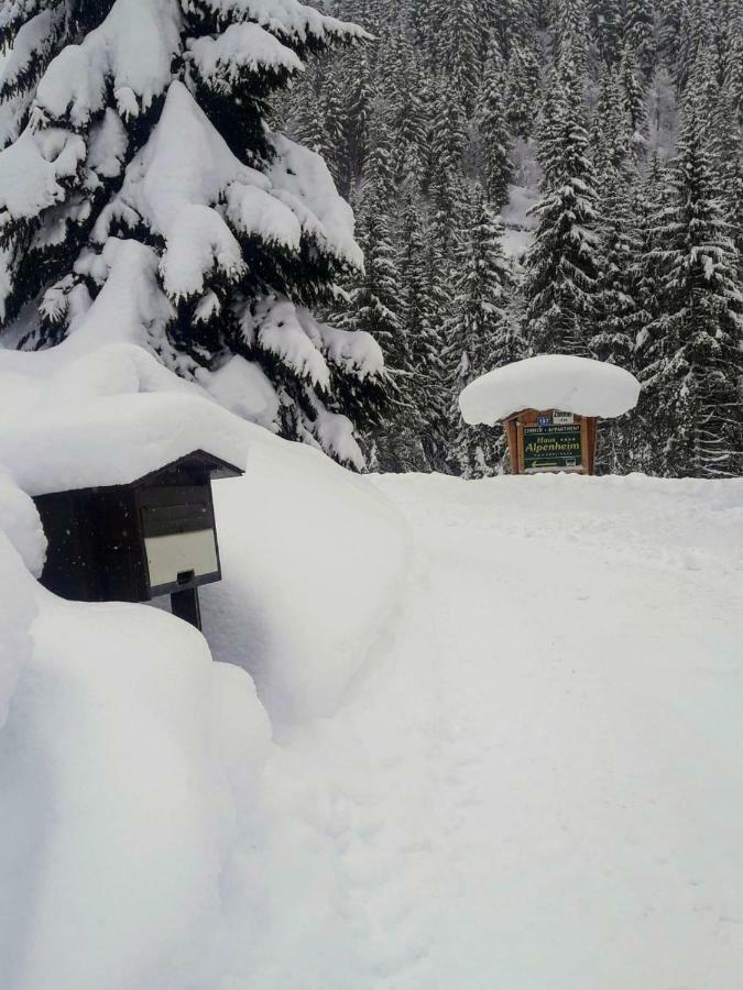 Haus Alpenheim Flachau Exterior foto